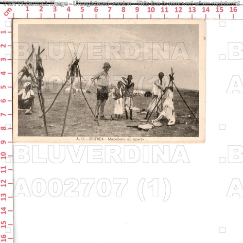 A2707 eritrea macelleria - eritrea,