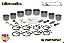 Kit revisione pinza freno