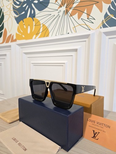Louis vuitton evidence - louis,