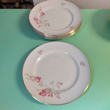 piatti porcellana richard ginori