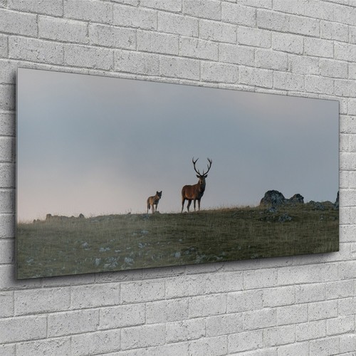Quadro stampa vetro foto - quadro,
