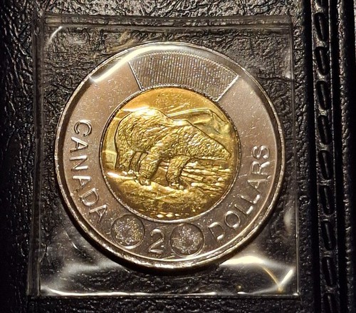 Canada dollari 2014 - -, orso