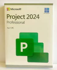 Microsoft Project Professional