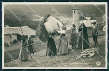 Belluno Cortina d'Ampezzo Raccolta Fieno Costumi Foto cartolina QT1246