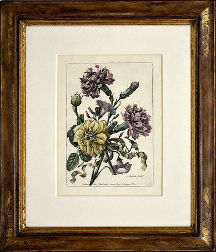 Monoyer natura morta - natura,