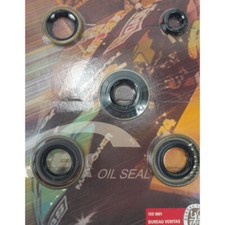 Set simmering SFK completo SACHS 50/3 503 3G