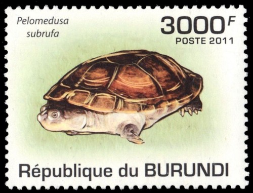 Burundi 900 tartaruga - burundi,