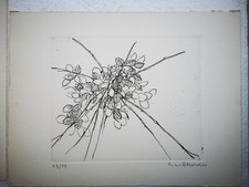 Incisione Gioxe De Micheli arte moderna fiori
