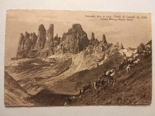 Alpe siusi - siusi, (bolzano)