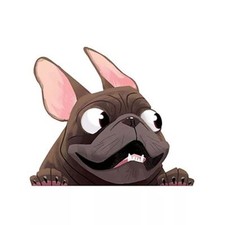 ADESIVO AUTO BULLDOG FRANCESE