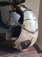 Septaria - 1,75 Kg .