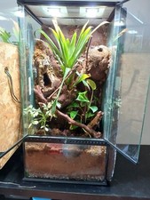 Terrario in vetro per rettili ExoTerra 45×45×90