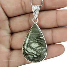 Naturale Crinoid Fossil 925