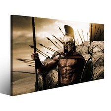 Stampa su tela film 300 I