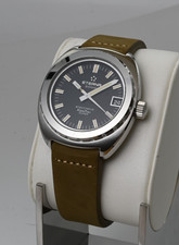 Eterna Sonic Electronic