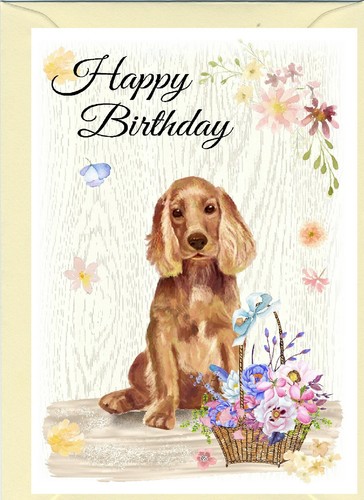 Biglietto compleanno cane - biglietto,