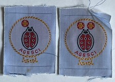 Scout Agesci 2 distintivi