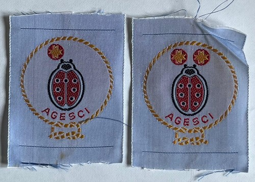 Scout agesci distintivi - agesci, 2