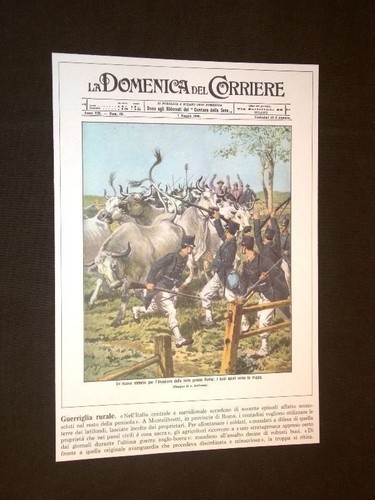 Anno 1905 montelibretti - anno,