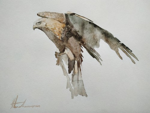 Aquila uccellini opera - uccellini,,