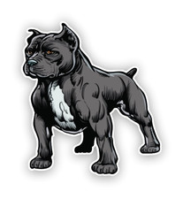 Adesivo auto Pitbull Dog B307