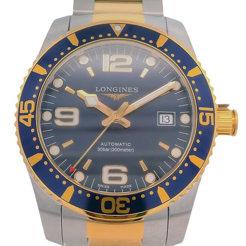 Hau longines hydro - hau,