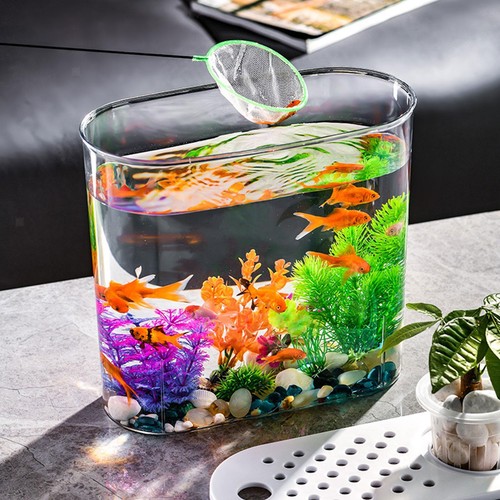 Mini acquario per - mini,