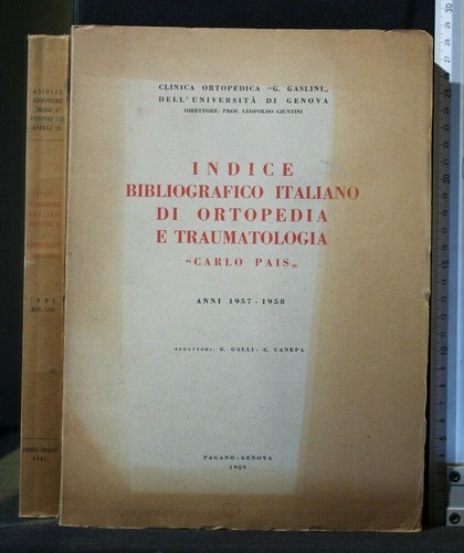Indice bibliografico italiano - bibliografico,