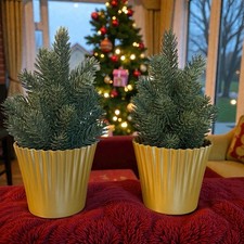 IKEA VINTERFINT Alberi