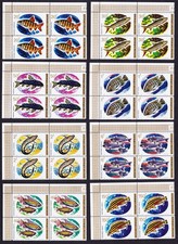 Fish 8v T1 blocchi angolari di