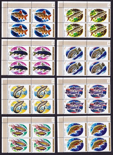 Fish blocchi angolari - blocchi,