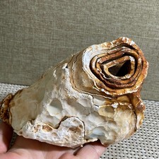 Bonsai Suiseki 839g - Pietra