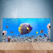 Paraschizzi Retrofornelli Cucina 100x50 Pesce Natura Decorazione