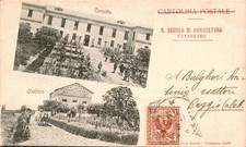 dq39 cartolina catanzaro piazza garibaldi inizio 900 super