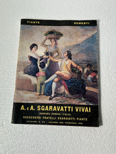 SGARAVATTI VIVAI PIANTE