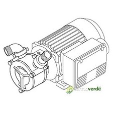 Liverani EPH 20 Bronzo L Pompa