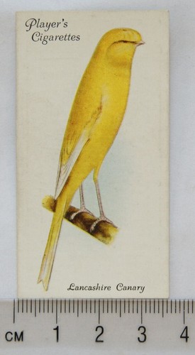 1933 john player sons aviary - john, &
