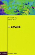 Il cervello. Anatomia e