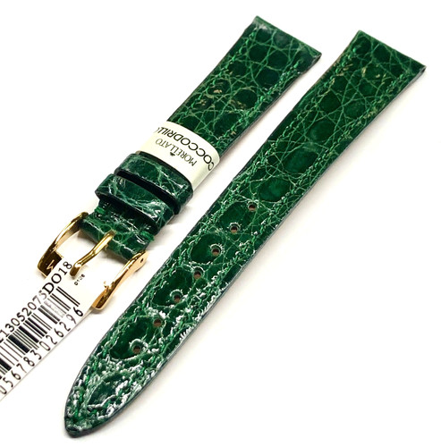 Cinturino coccodrillo brasile - cinturino,