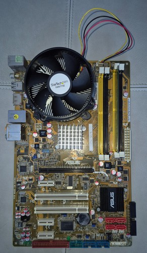 Scheda madre asus - madre,