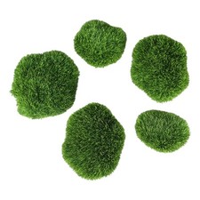 Palla di muschio marimo verde