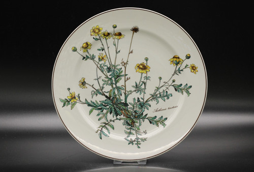 Villeroy boch botanica - &,