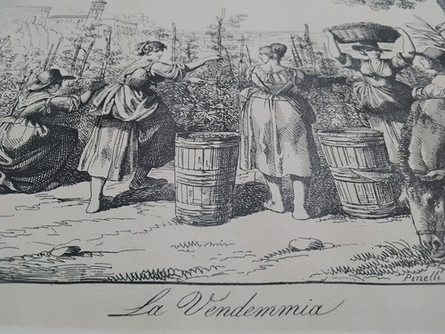 Bartolomeo pinelli la - _, ""