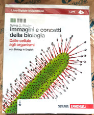 IMMAGINI E CONCETTI DELLA