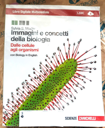 Immagini concetti della - concetti,