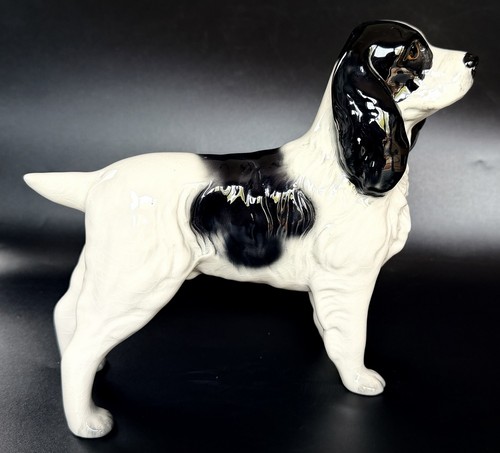 Vintage springer spaniel - vintage,