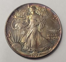 1987 American Silver Eagle 1 dollaro/1 oz argento fino.  Splendidamente tonica.