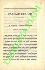 STROBEL Pellegrino -
