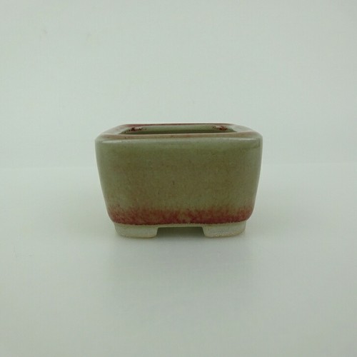 Vaso per bonsai giapponese