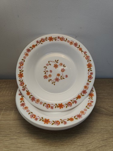 Lot assiettes creuses - 4,